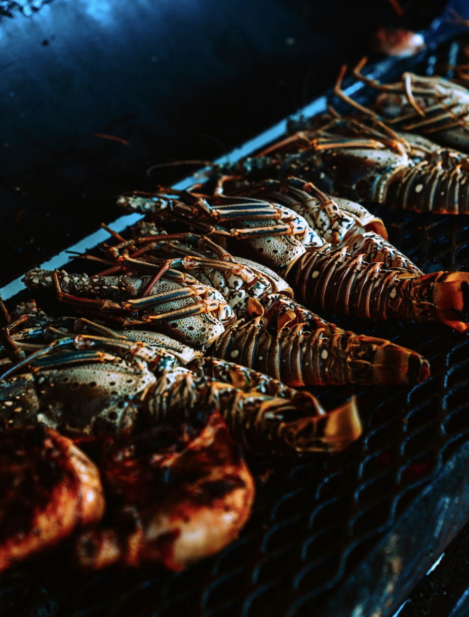Top 10 Grilled Lobster Tail Recipes You Need to Try
